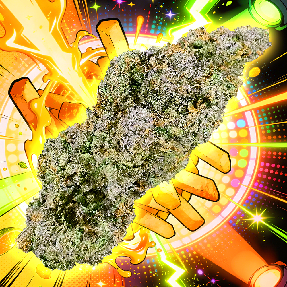 Disco Fries [1g]