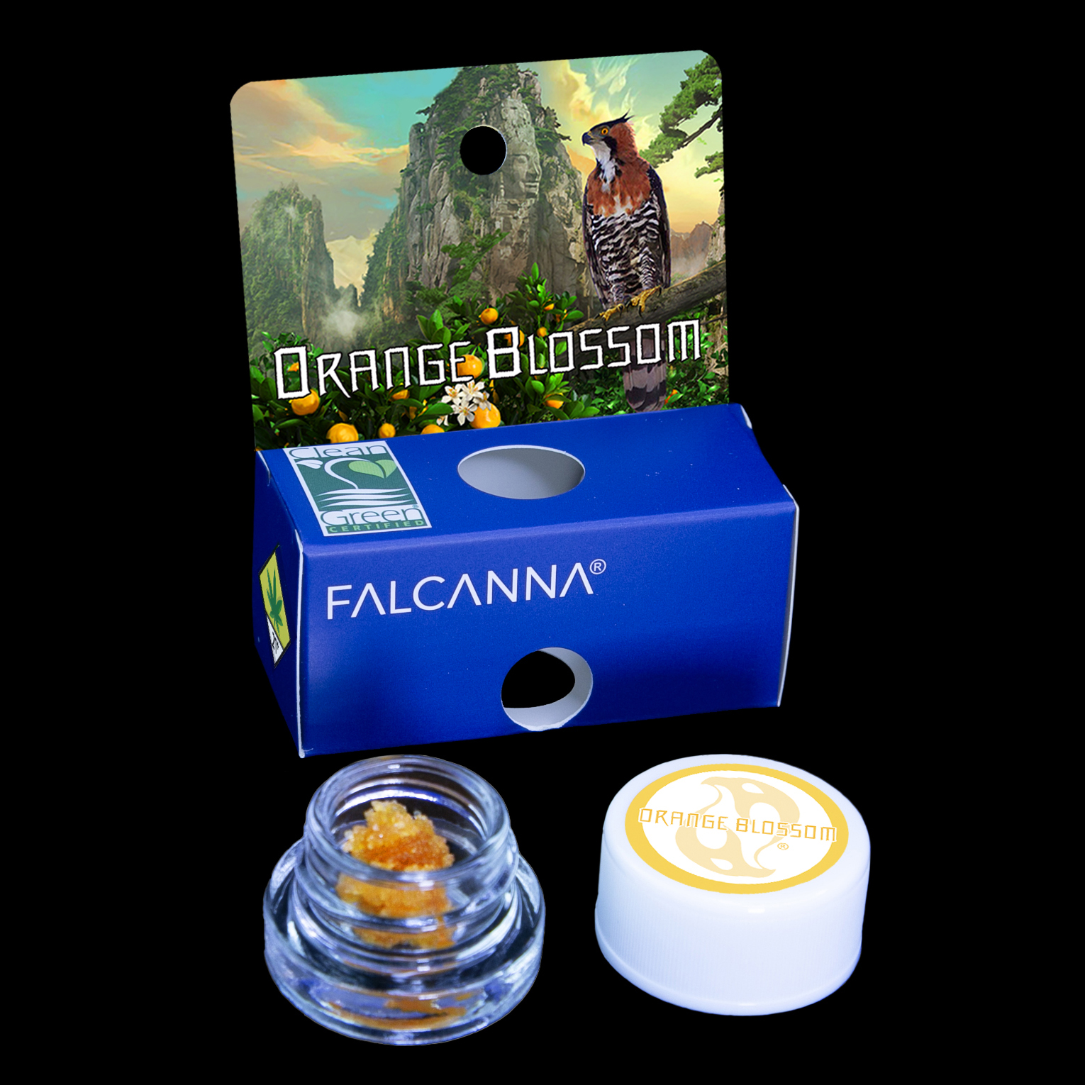 Orange Blossom Cold Cured Sugar Wax