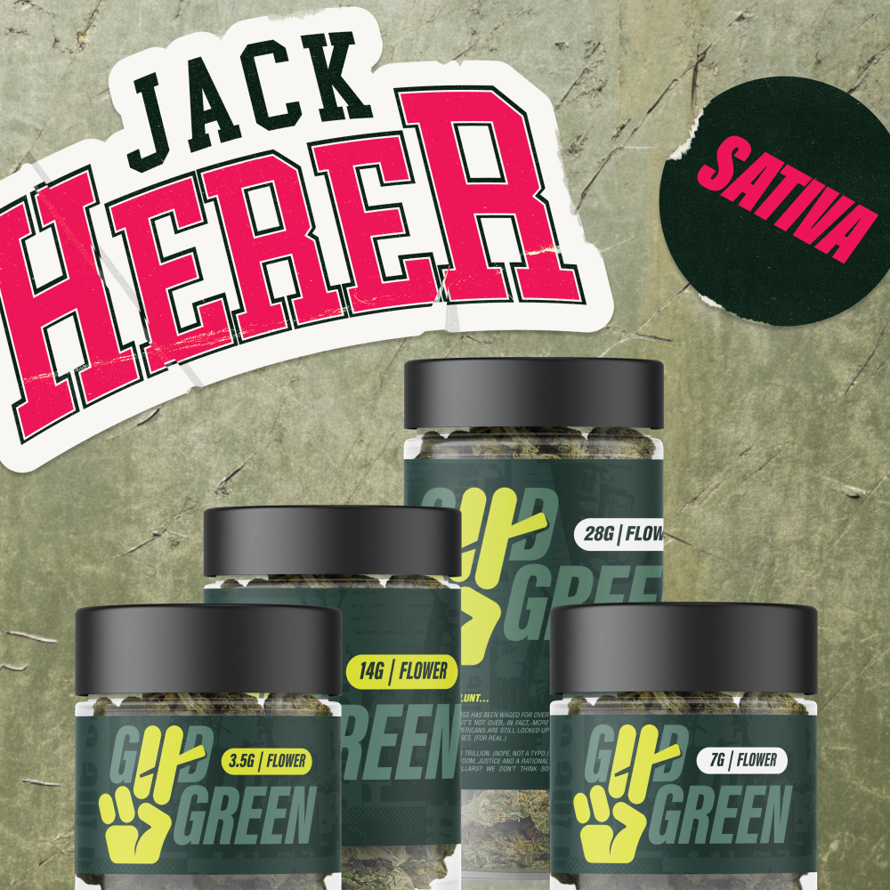 Jack Herer undefined - Nevada, Craig Rd | RISE Cannabis