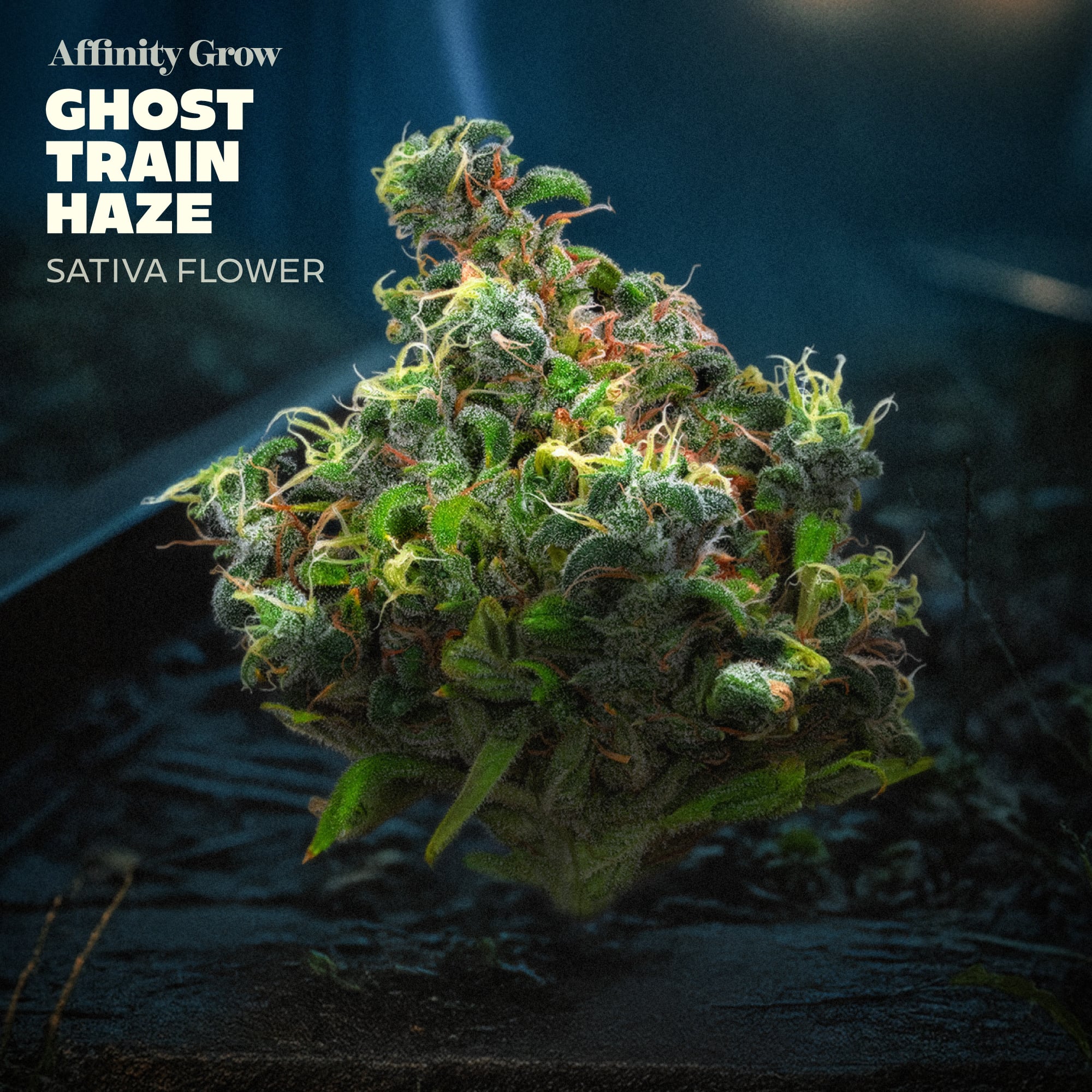 Ghost Train Haze
