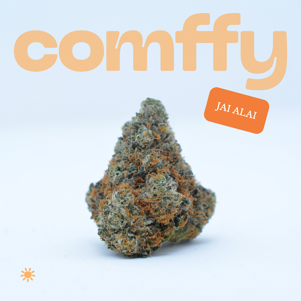 Comffy - Jai Alai (S) Flower  C0140000031
