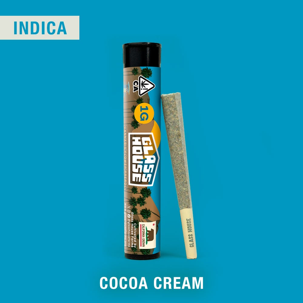 Cocoa Cream