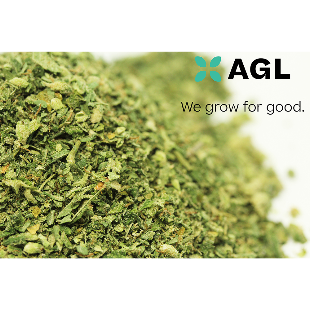 AGL 28g Select Grind Animal Scout #10 (I) 01267