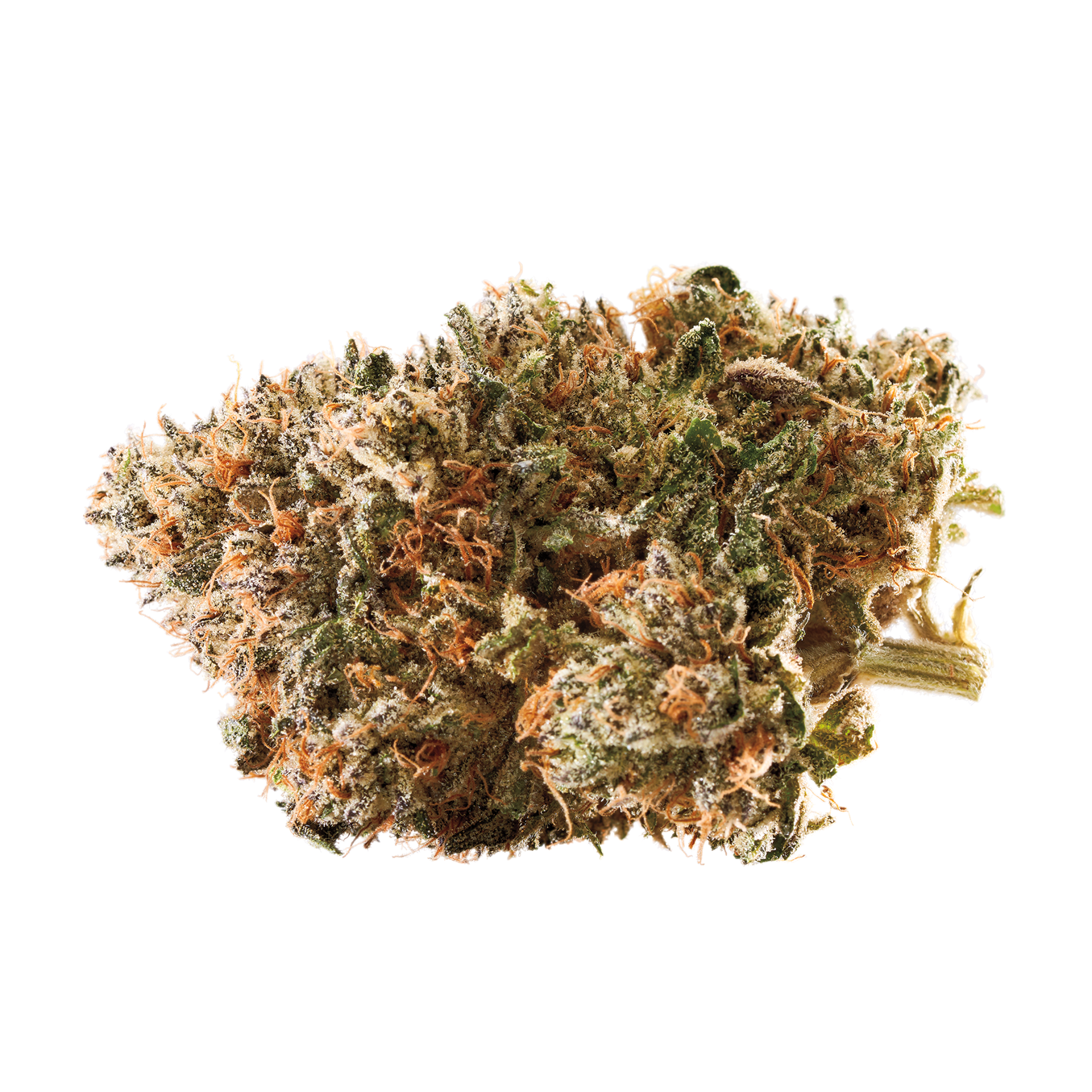 【世界100台】WEED Blues D 2 MA104B BD-2 世界100台】WEED Blues D 2 MA104B BD-2 世界100台】WEED Blues