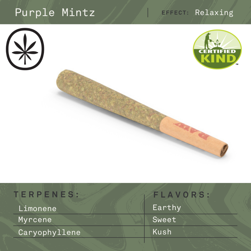 Purple Mintz [1g]