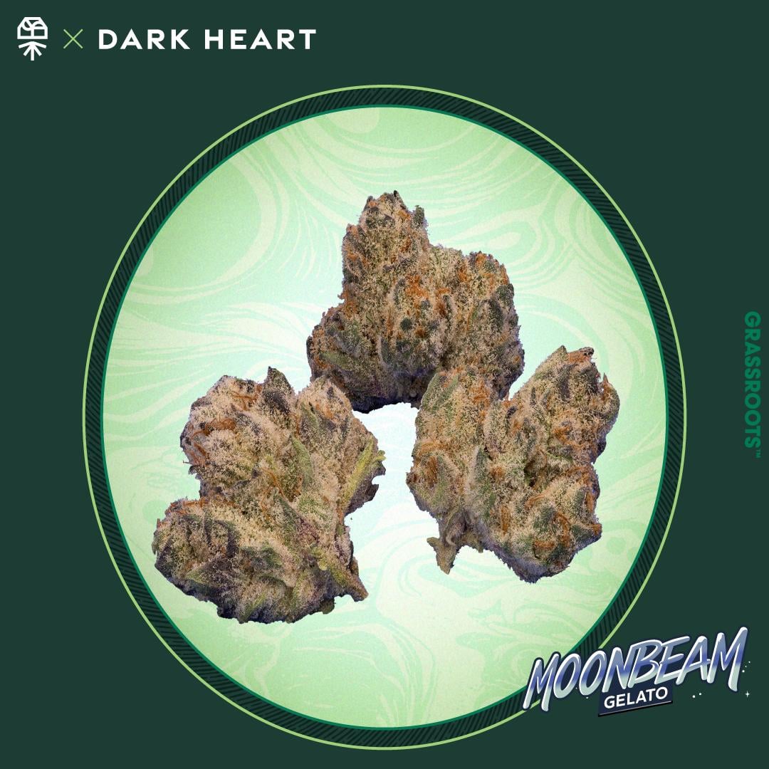 MoonBeam Gelato