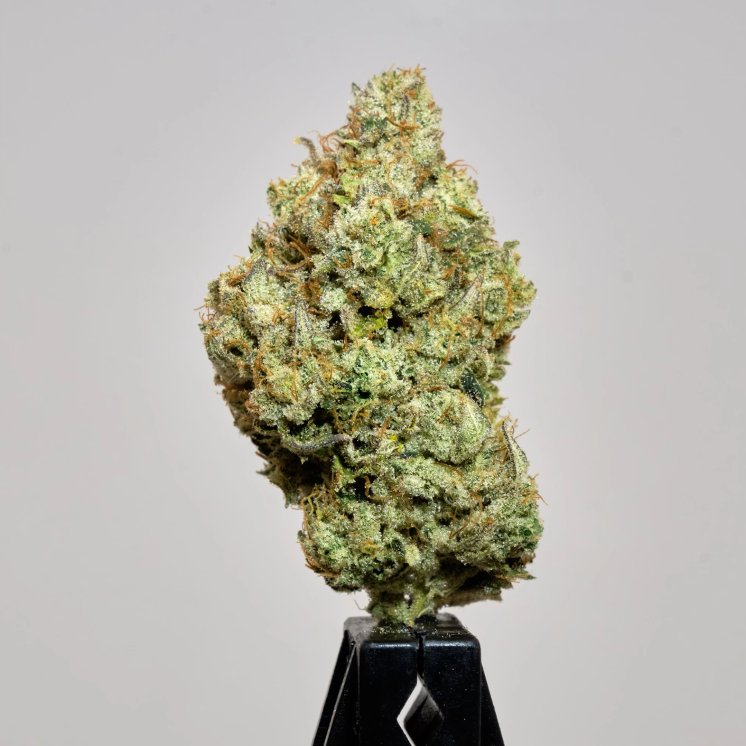 Super Glue [1g]