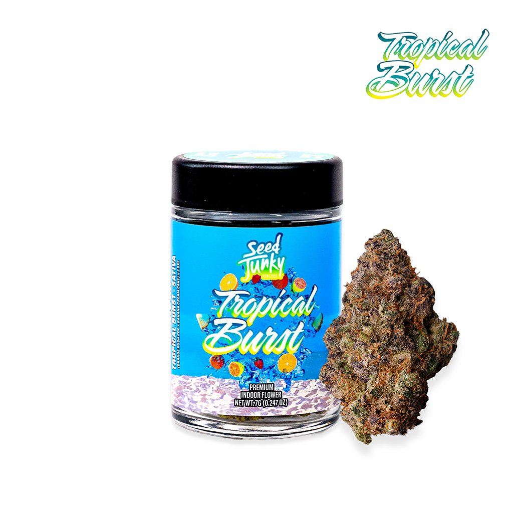 Tropical Burst view 2
