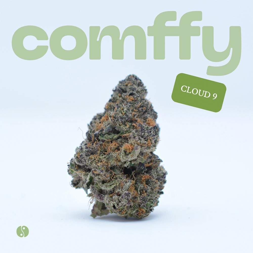 Comffy - Cloud 9 (H) Flower  C0140000028