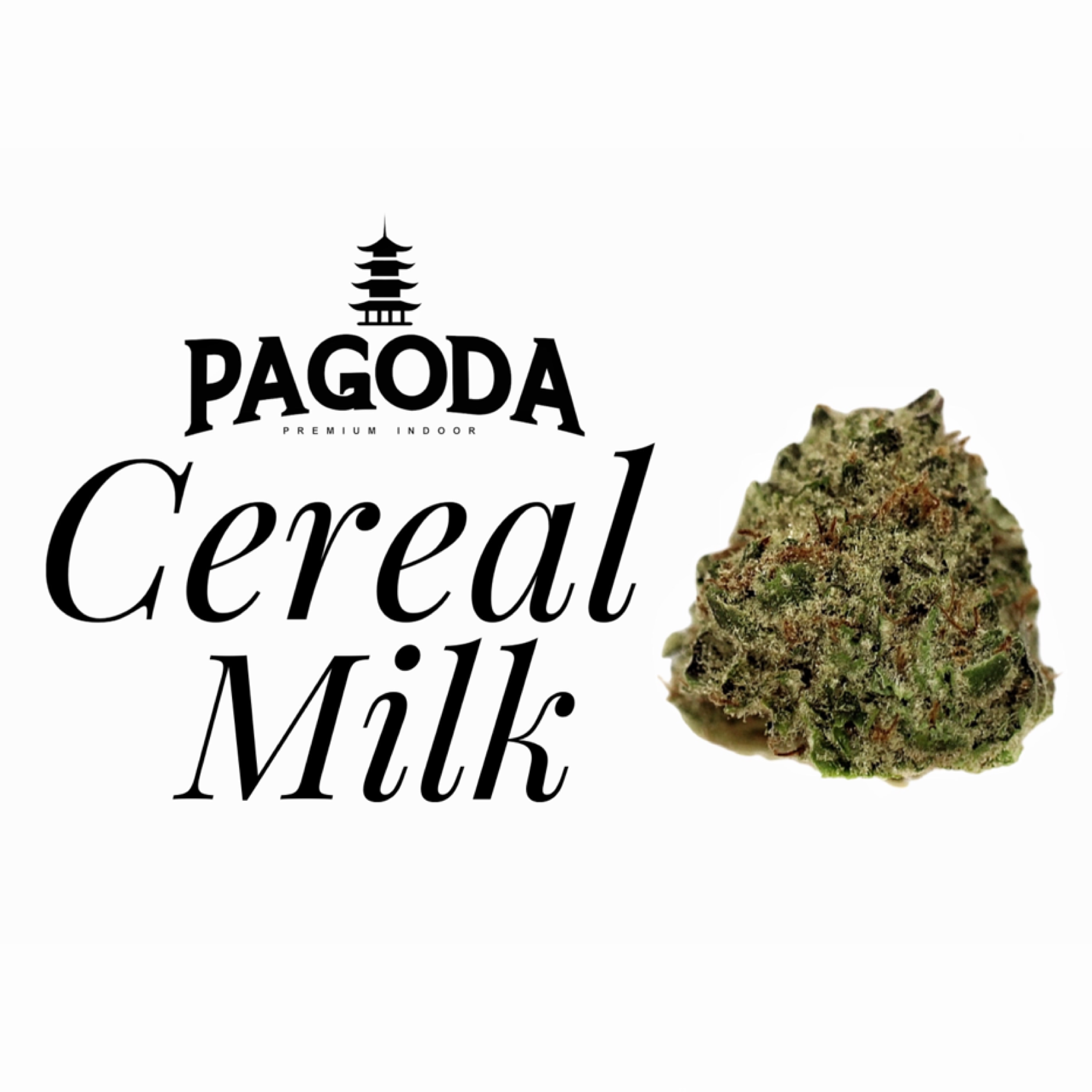 Cereal Milk