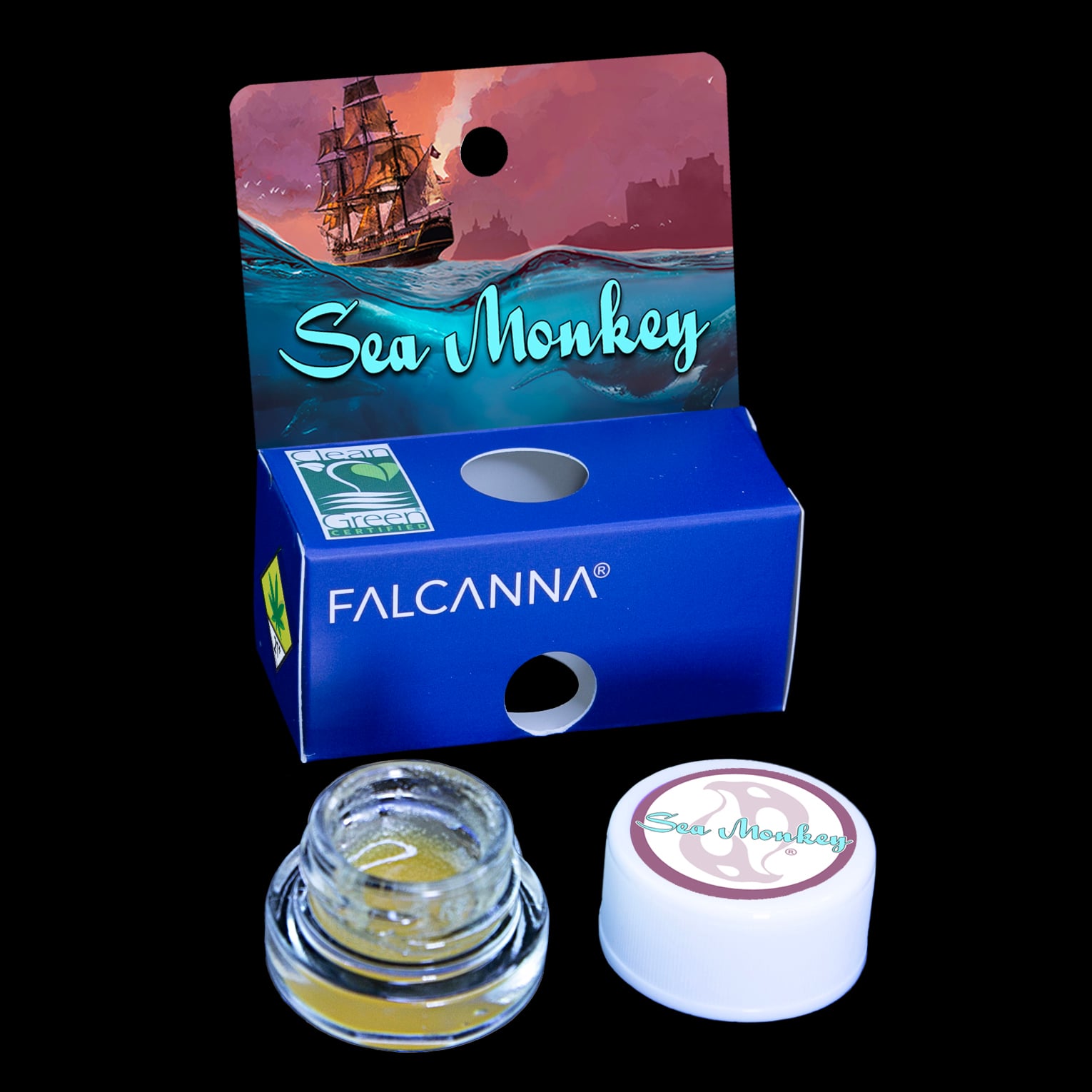 Sea Monkey