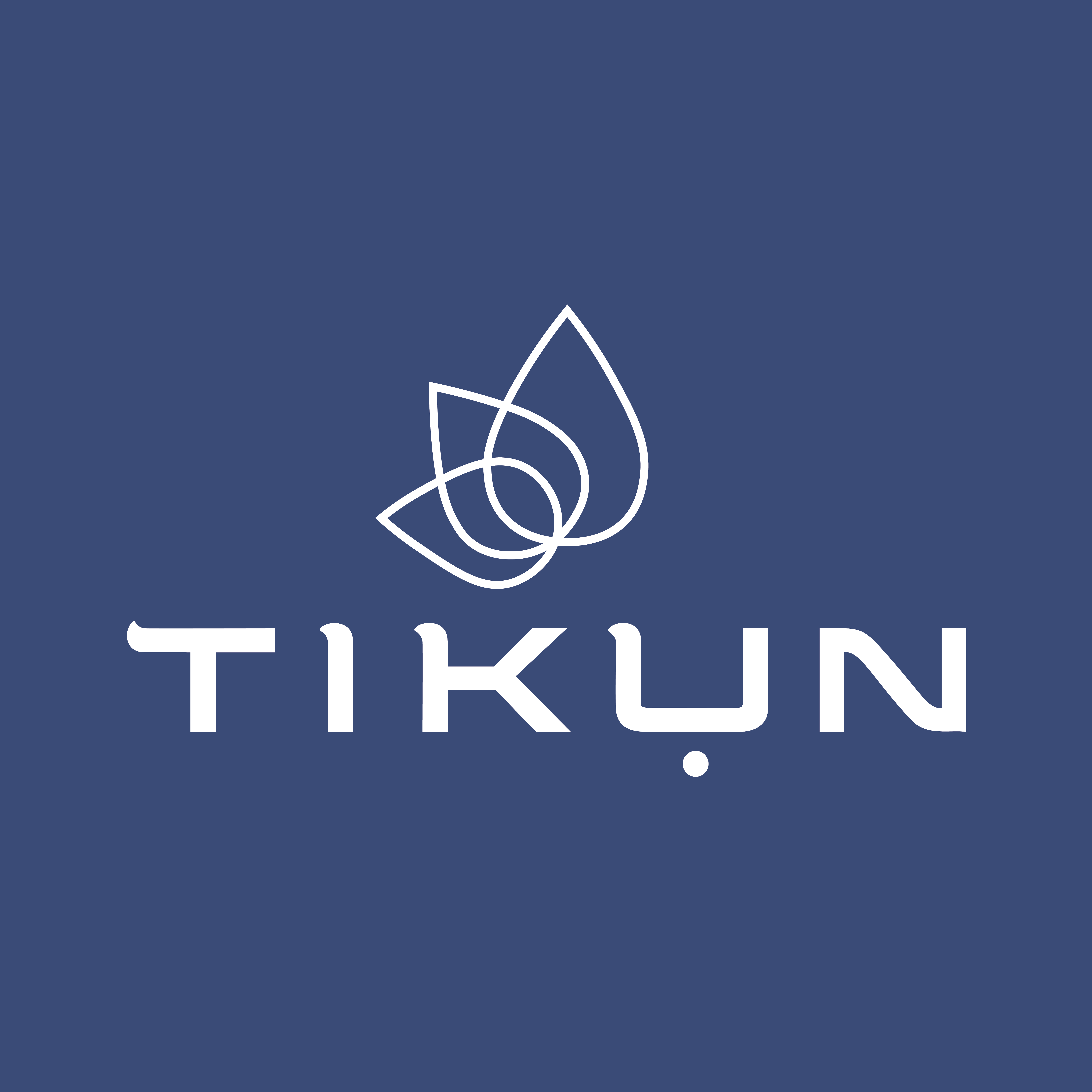 Tikun logo