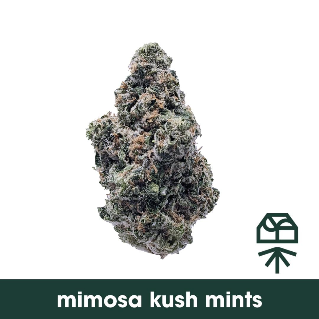 Shop Mimosa Kush Mints | The Dispensary - Fulton (MED) Fulton, IL
