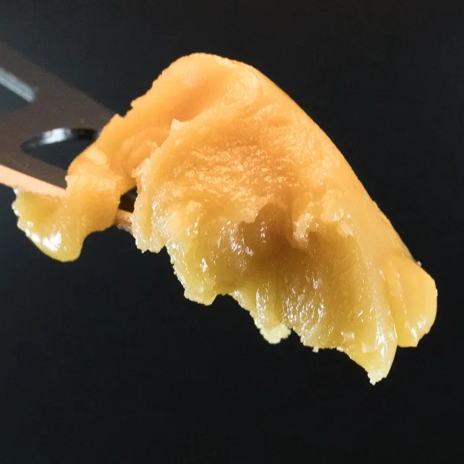 Disco Dabs feature image