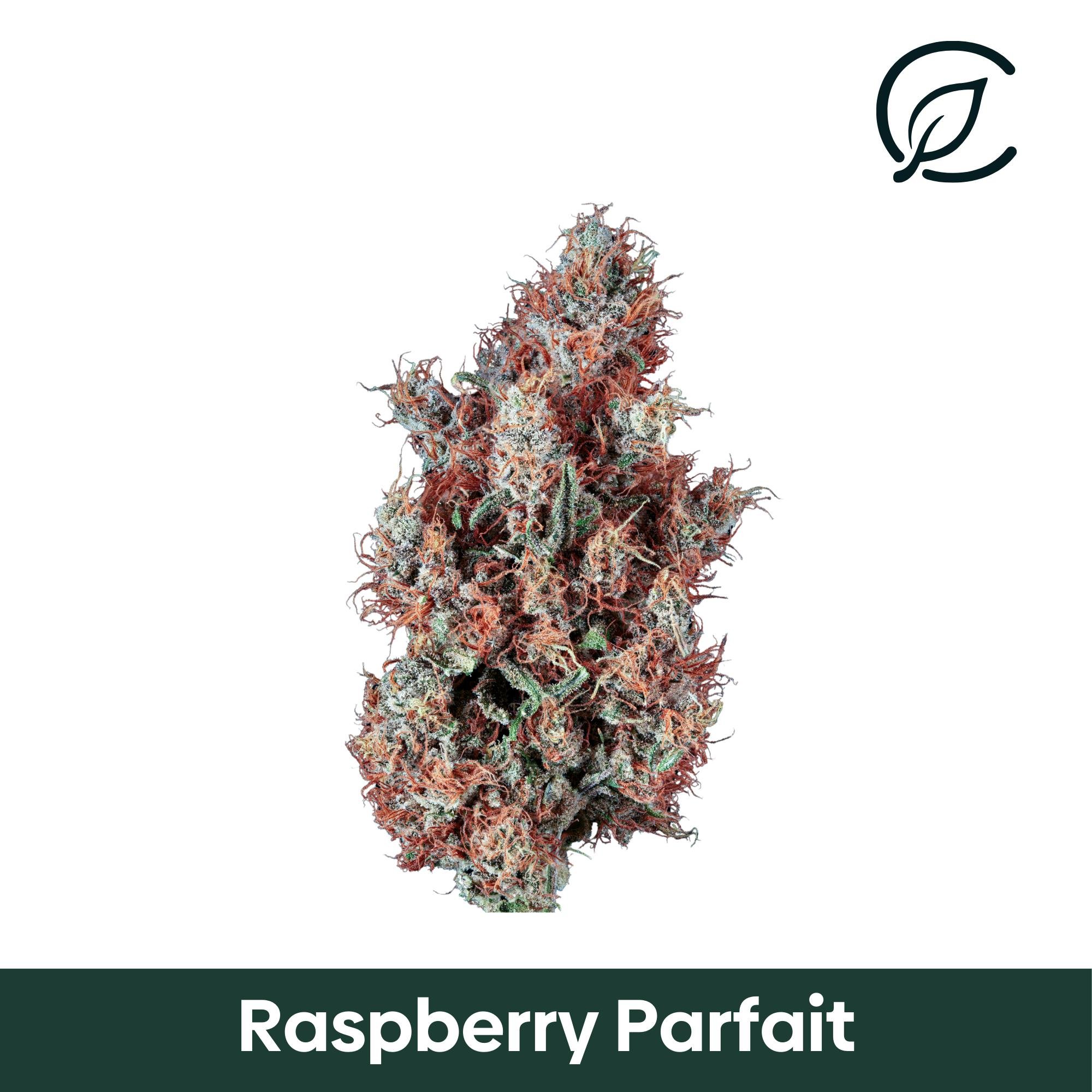Curaleaf - Raspberry PRFT (S) Flower  C0030000995