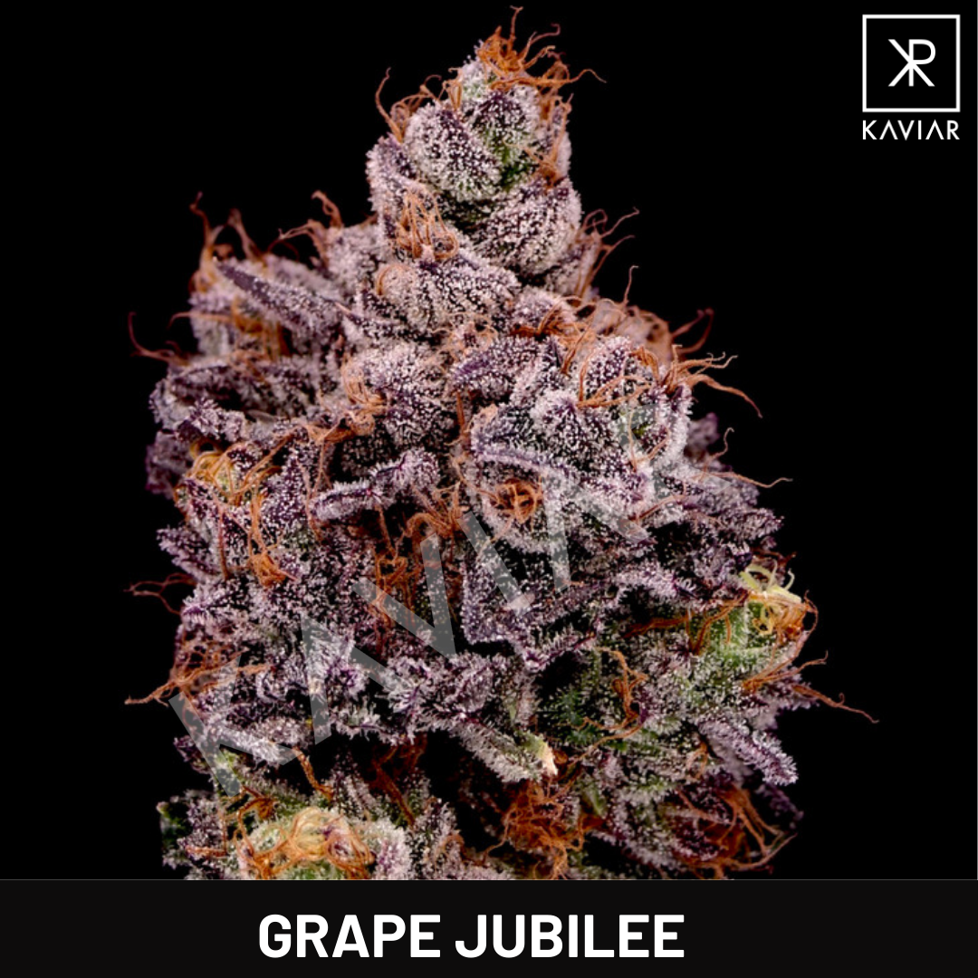 Grape Jubilee
