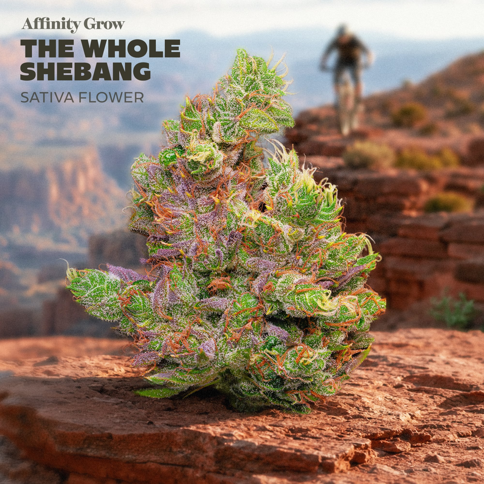 Affinity Grow - The Whole Shebang (S) Flower  C0090001101