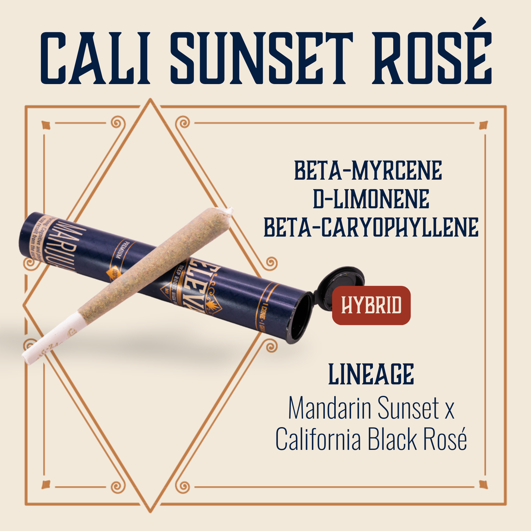 Cali Sunset Rose [1g]