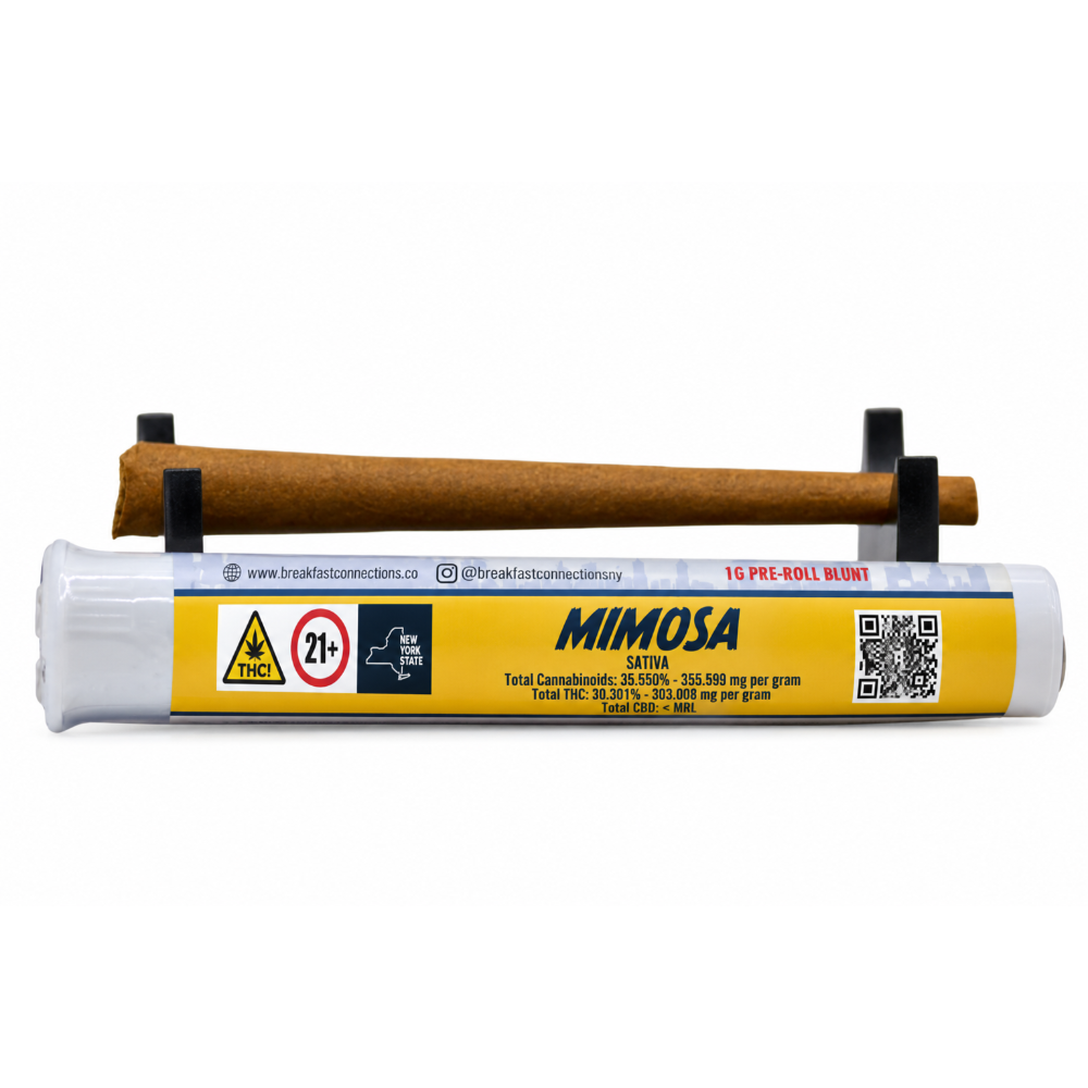 Mimosa