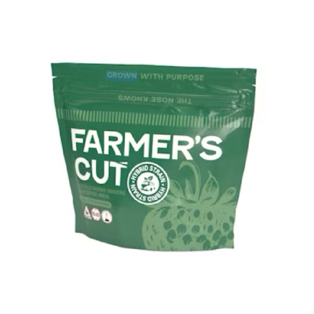 Pineapple Donut (S) (28g)