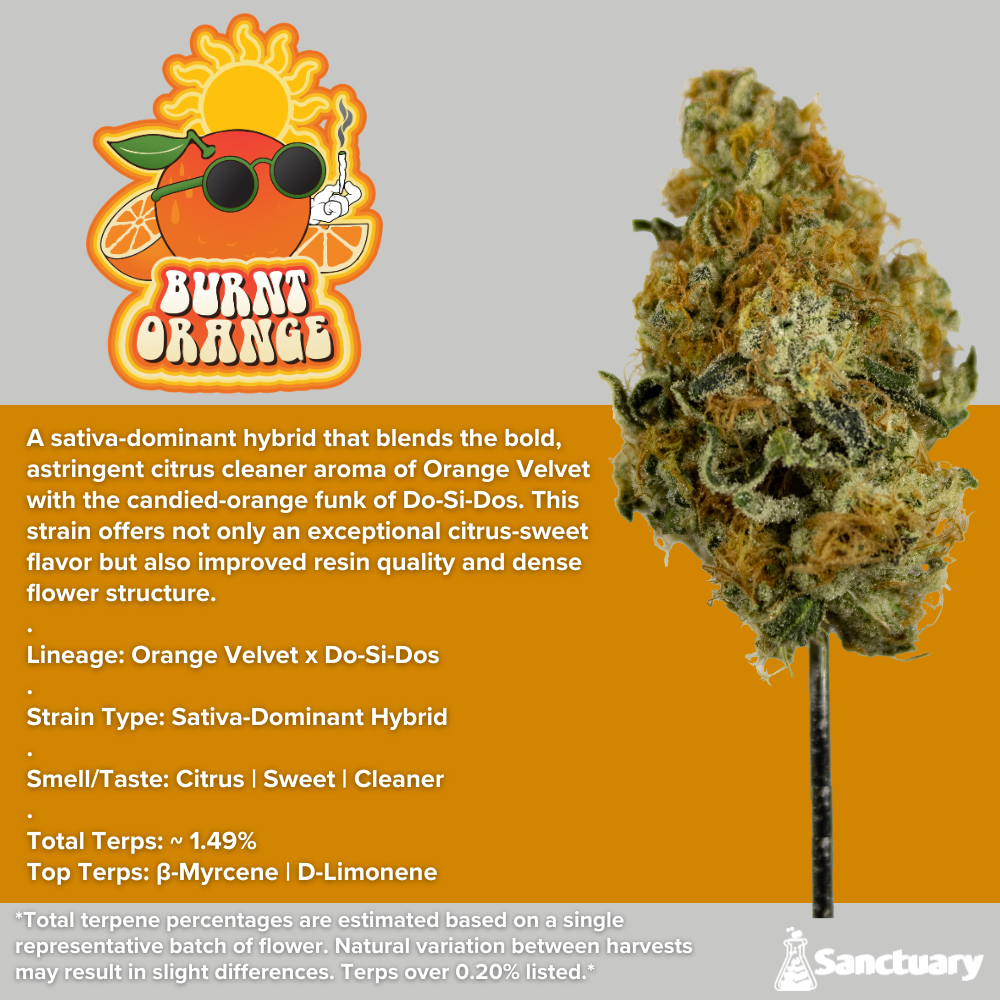Shop Whole Buds - Burnt Orange | Sanctuary - Woburn REC Dispensary
