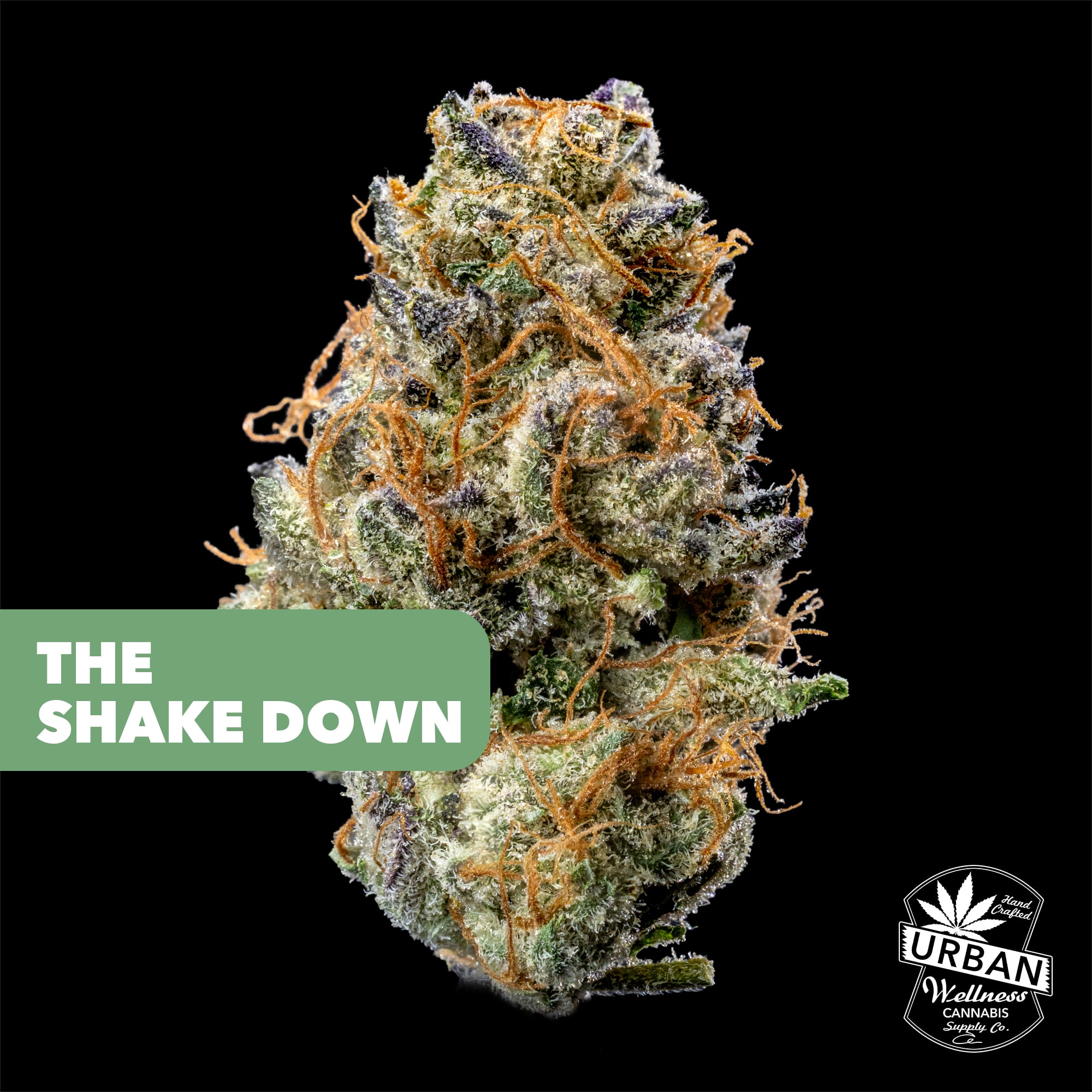 Shop Z Marker 8 | Urban Wellness - 98th Dispensary Albuquerque, NM