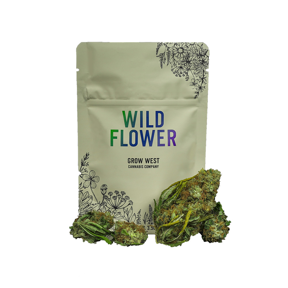 Intergalactic Trimmed | Gold