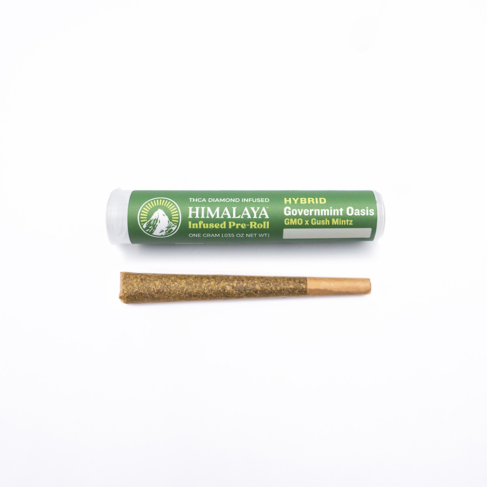 Governmint Oasis [1g]