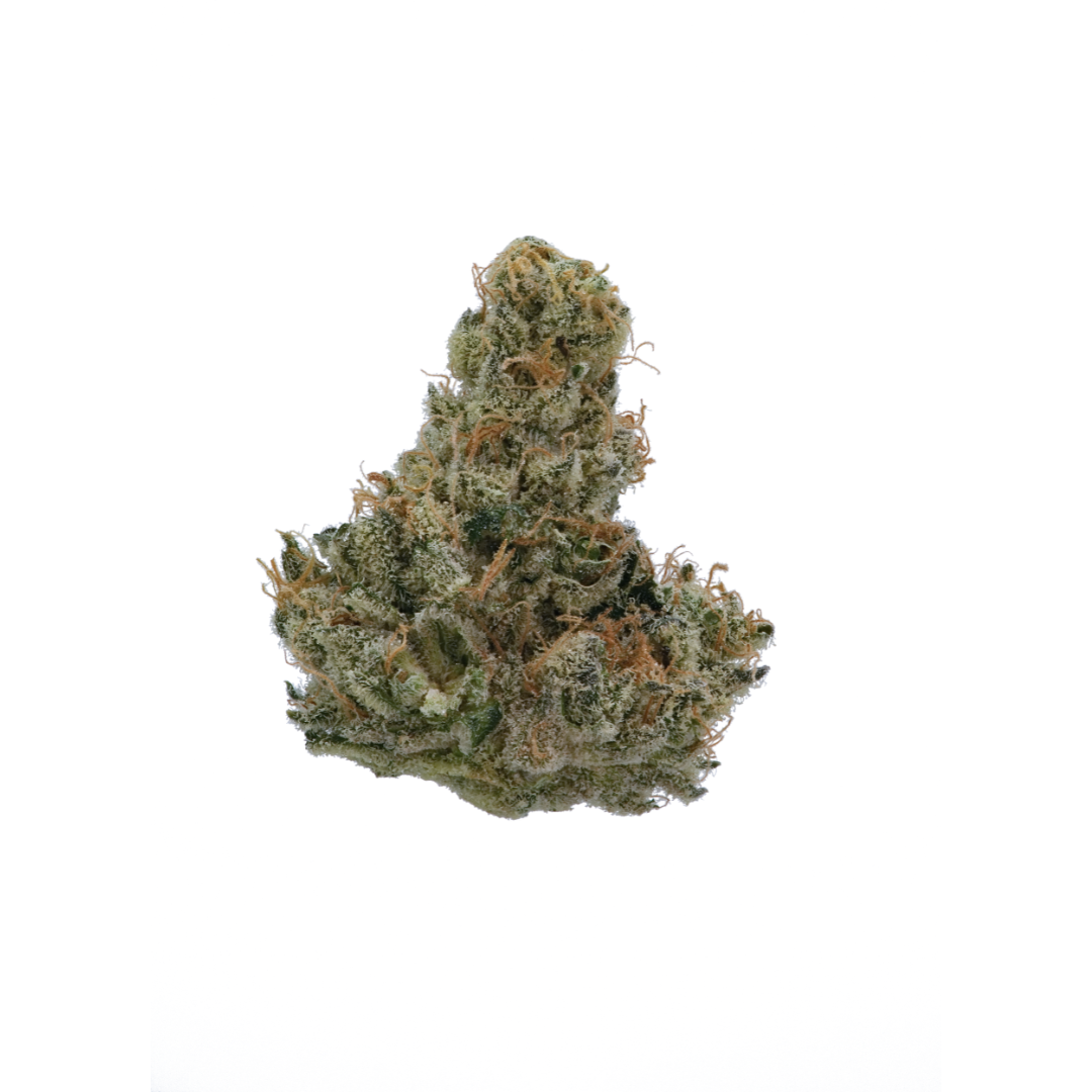 Shop White Lemon Funk | FLUENT - Coral Springs Dispensary Coral