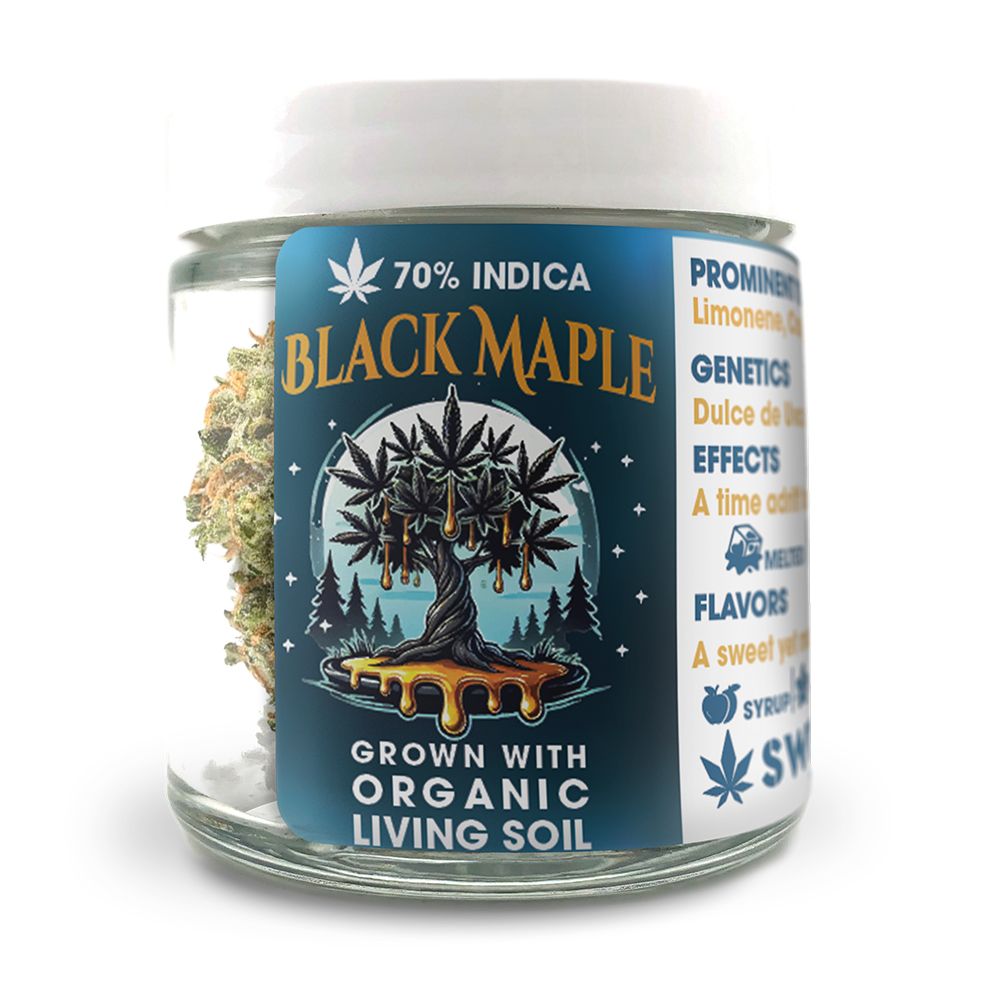 Black Maple