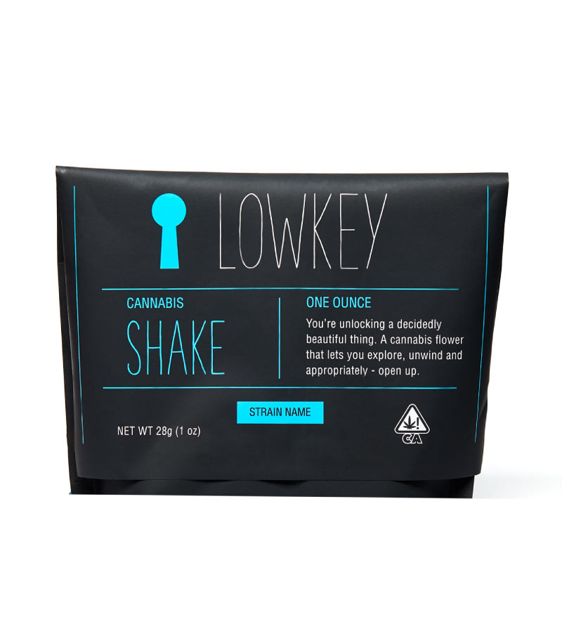 LowKey GG 10 KEY Shake Jane