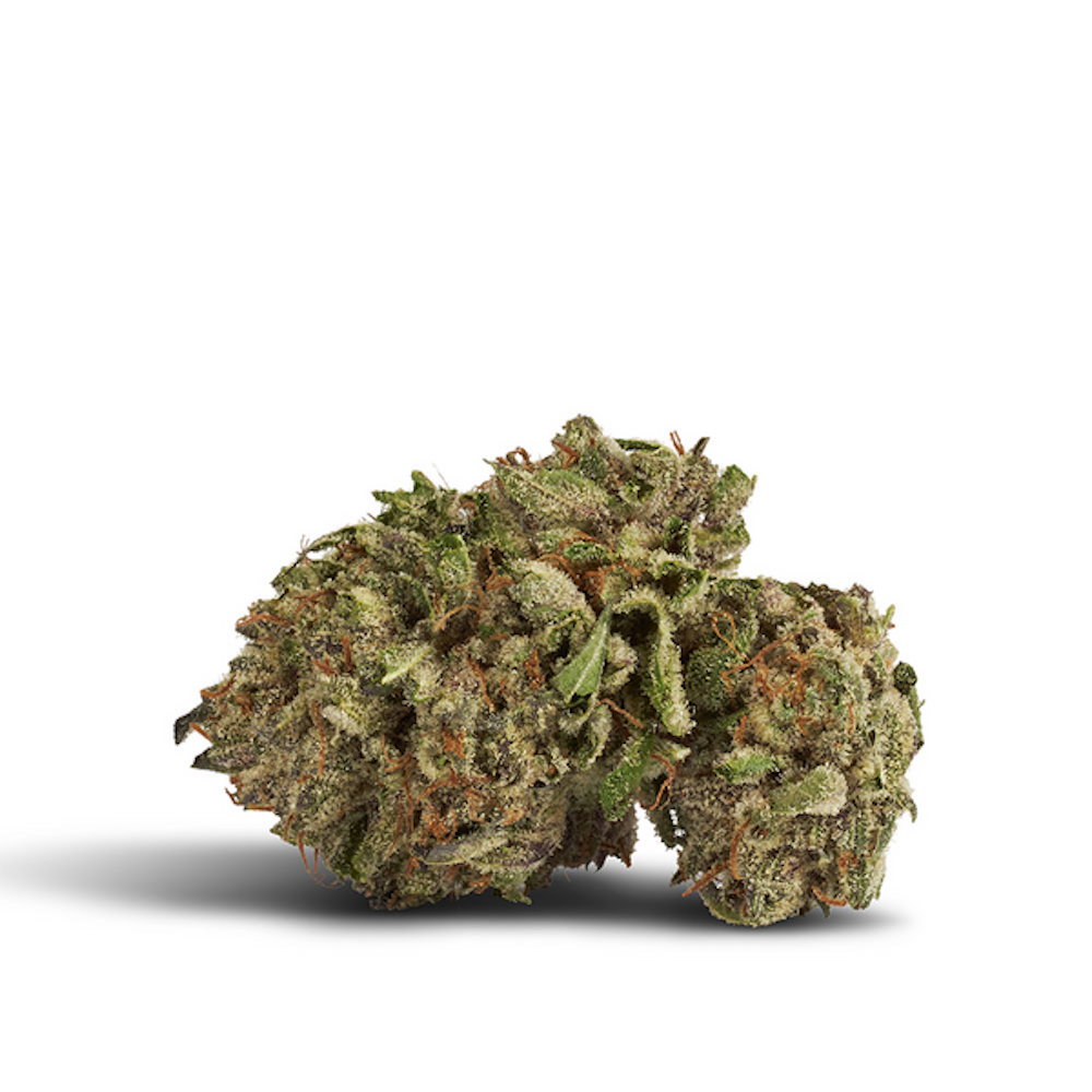 Candy Punch Float Premium Indoor Flower Jane