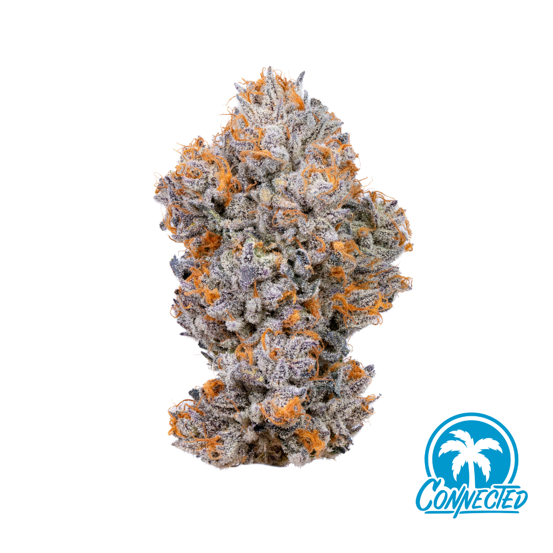Shop Biscotti | Insa - Newtown Square Dispensary Newton Square, PA