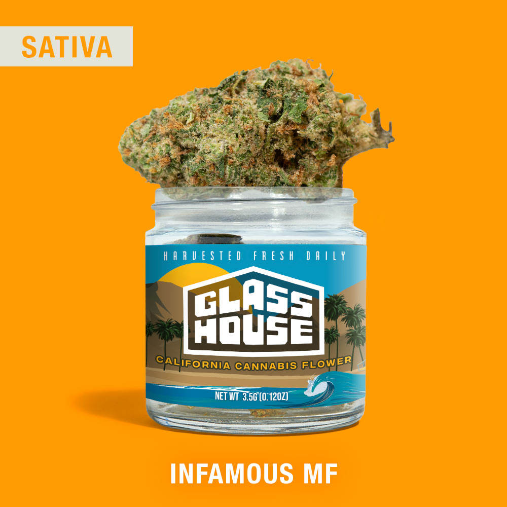 Infamous MF