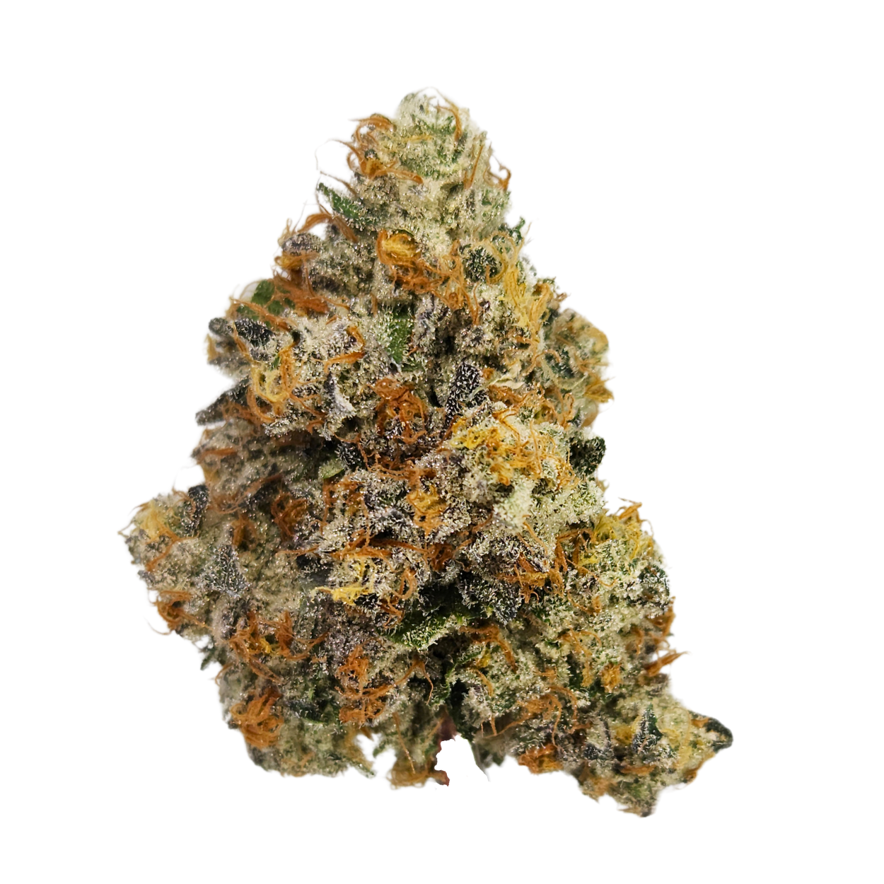 Morro Bay Cannabis Dispensary | Buy Weed Online Now | NHC