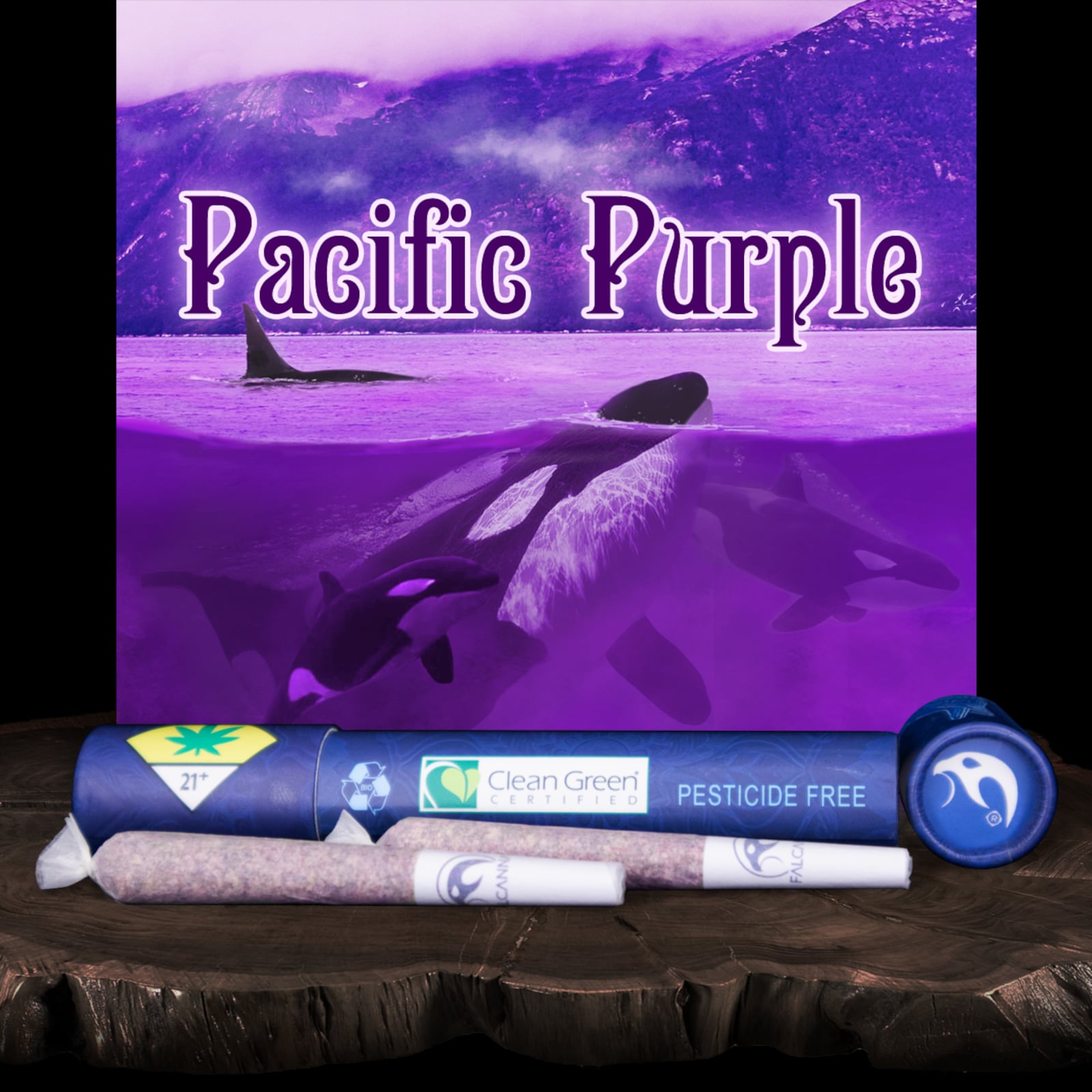 Pacific Purple [.6g]