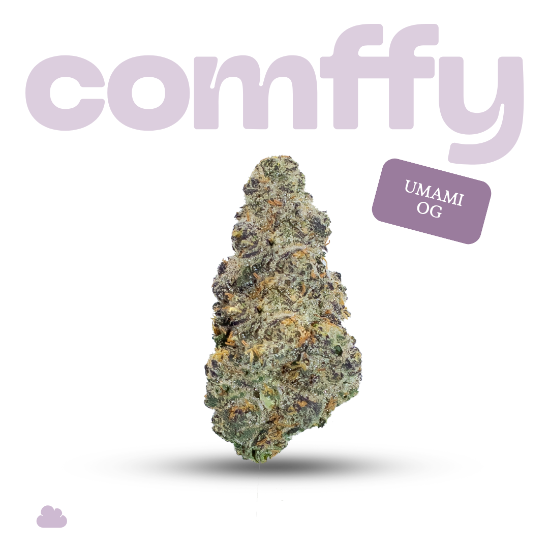 comffy - Umami OG (I) Flower  C0140000272