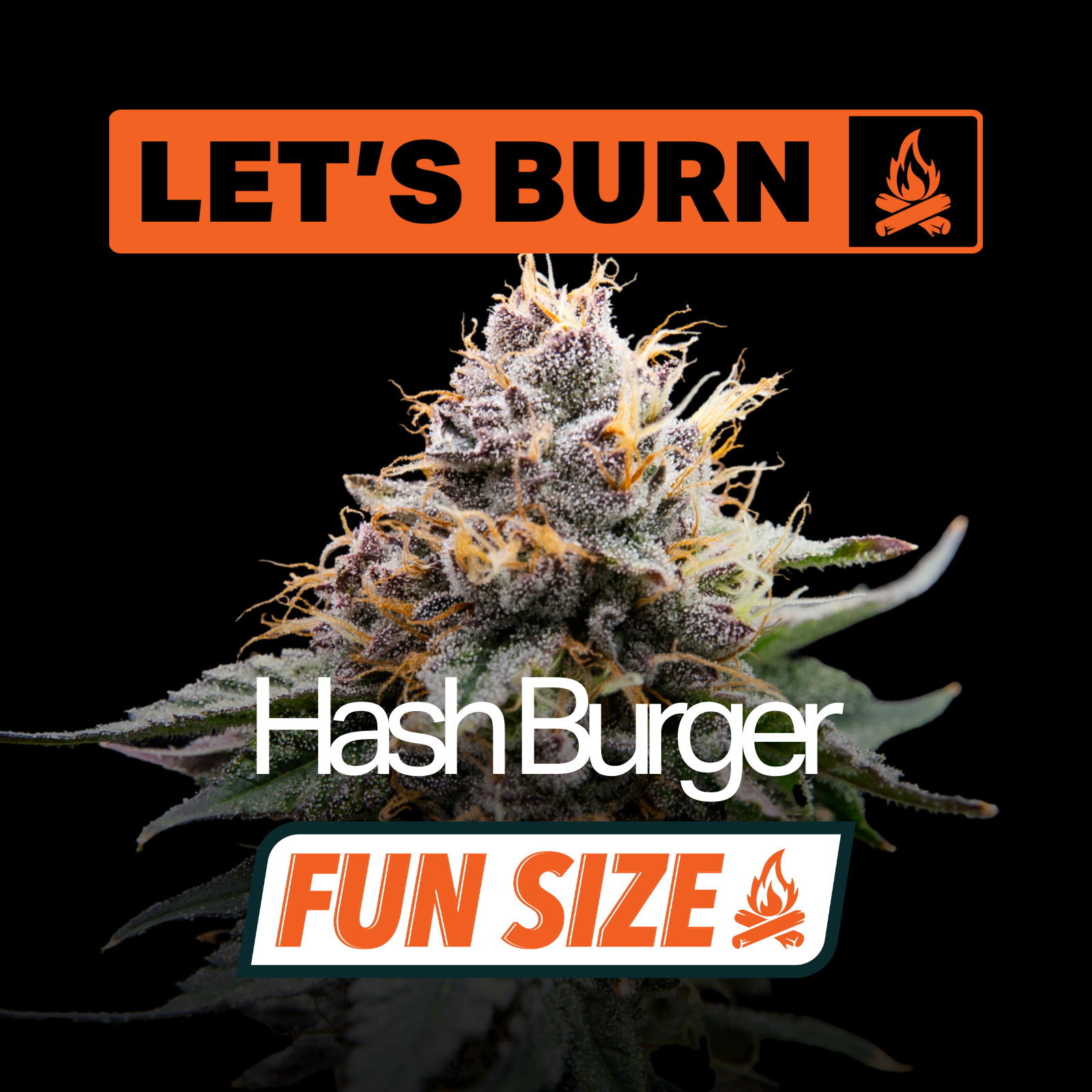 Let's Burn - Hash Burger (I) Smalls  C0200000057