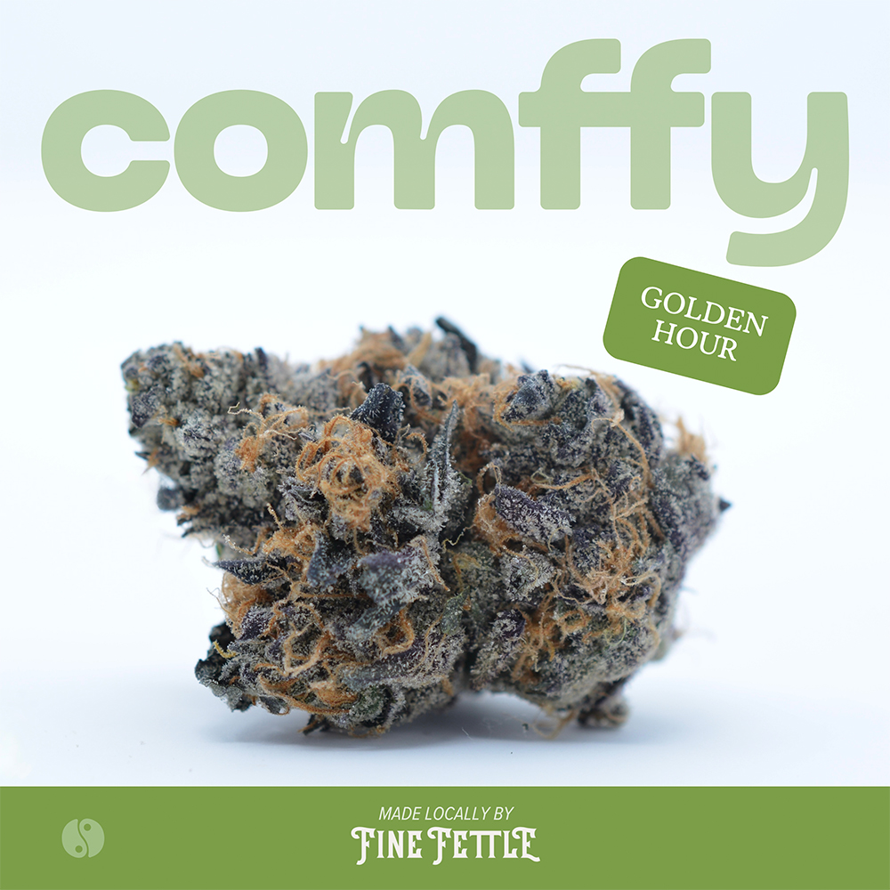 Comffy - Golden Hour (H) Flower  C0140000068