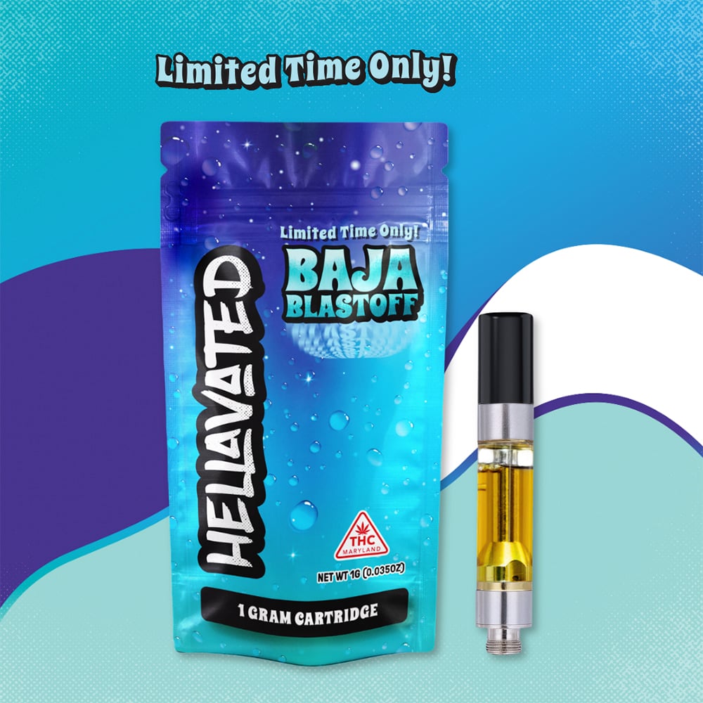 Baja Blastoff Baja Blastoff