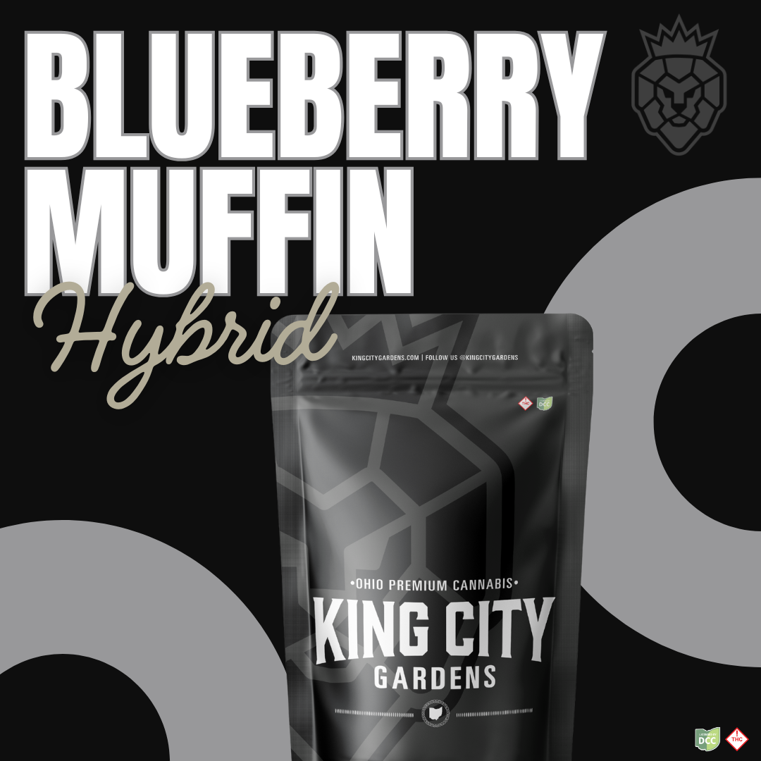 KING CITY GARDENS - BLUEBERRY MUFFIN - SMALLS  HYBRID - 1/8oz in Massillon