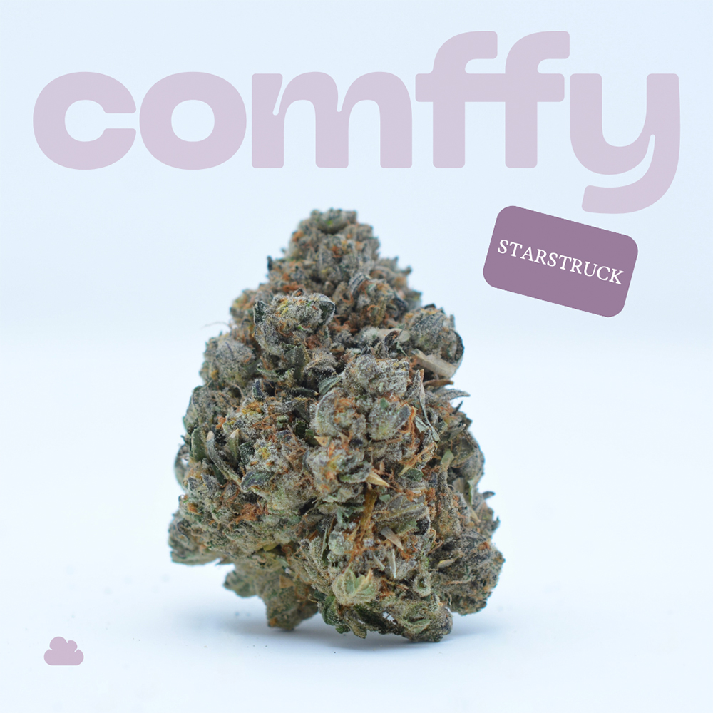 Comffy - Starstruck (I) Flower  C0140000034