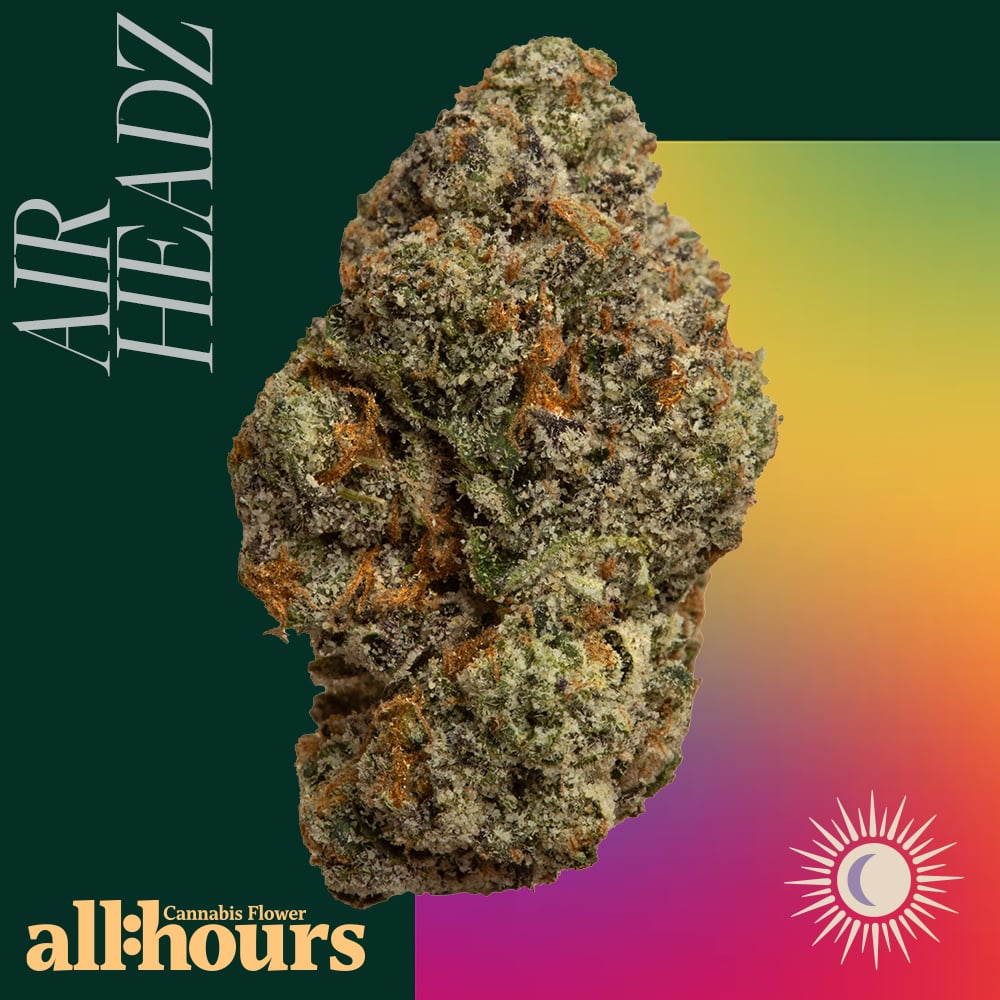 all:hours - Air Hdz (I) part:timers Flower  C0040001265