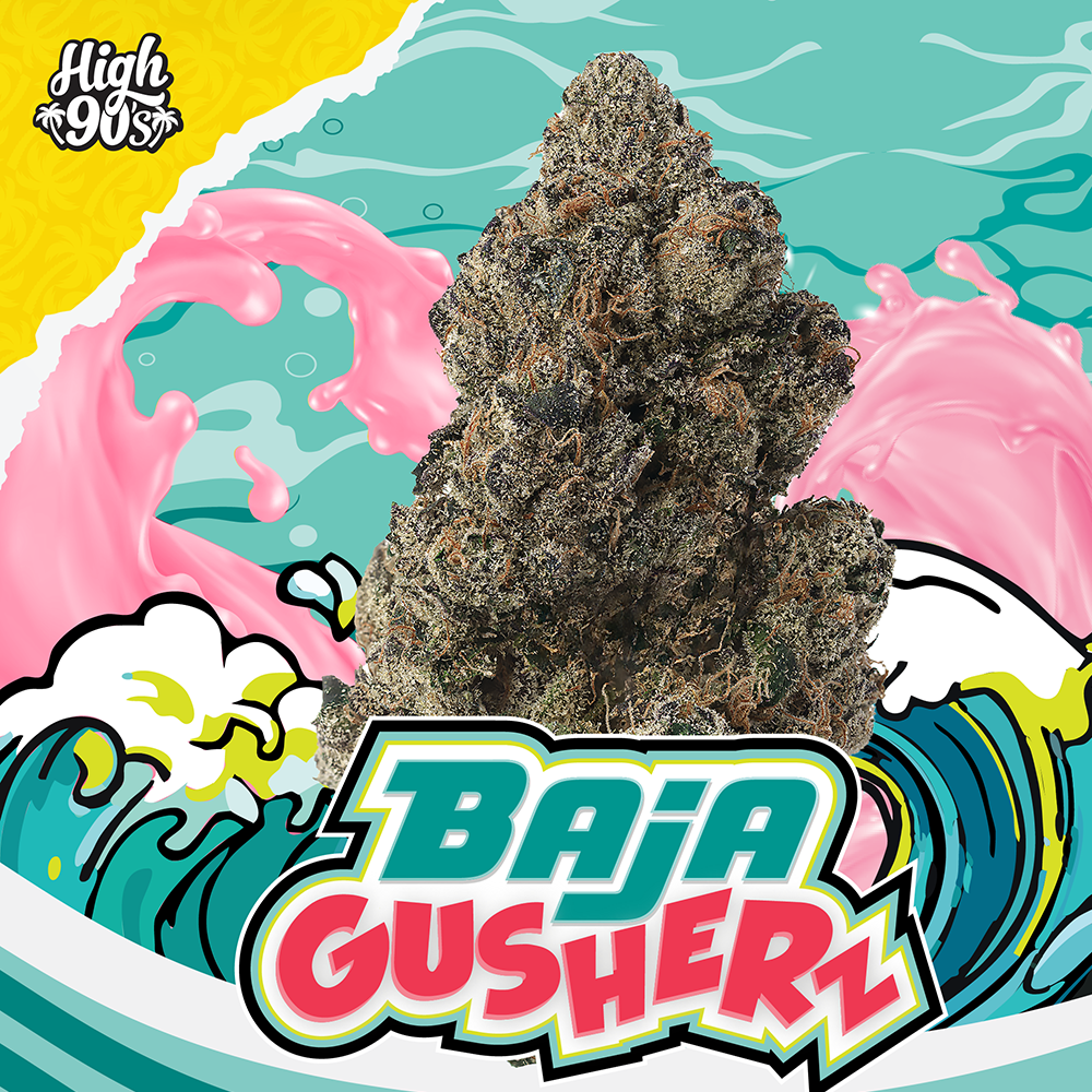 Baja Gusherz Baja Gusherz