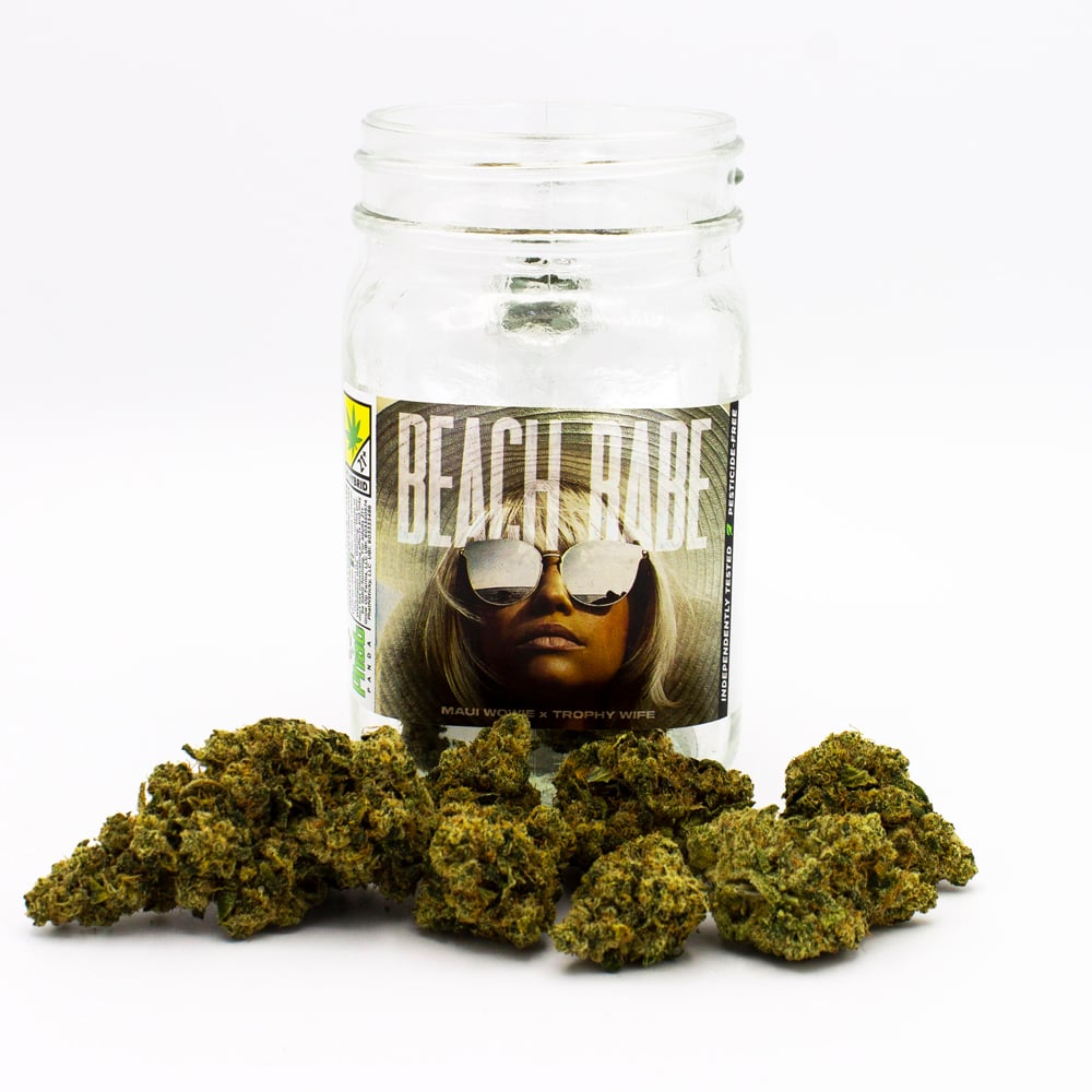 Beach Babe Beach Babe