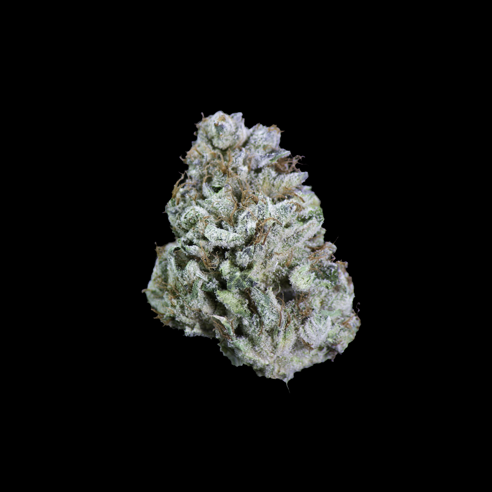 Sour Dubb