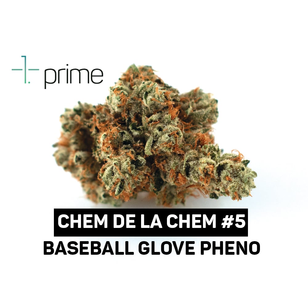 Chem de la Chem #5 | Prime Wellness - Jane