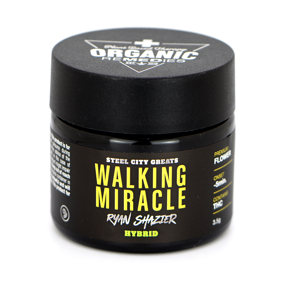 Walking Miracle Steel City Greats Jane