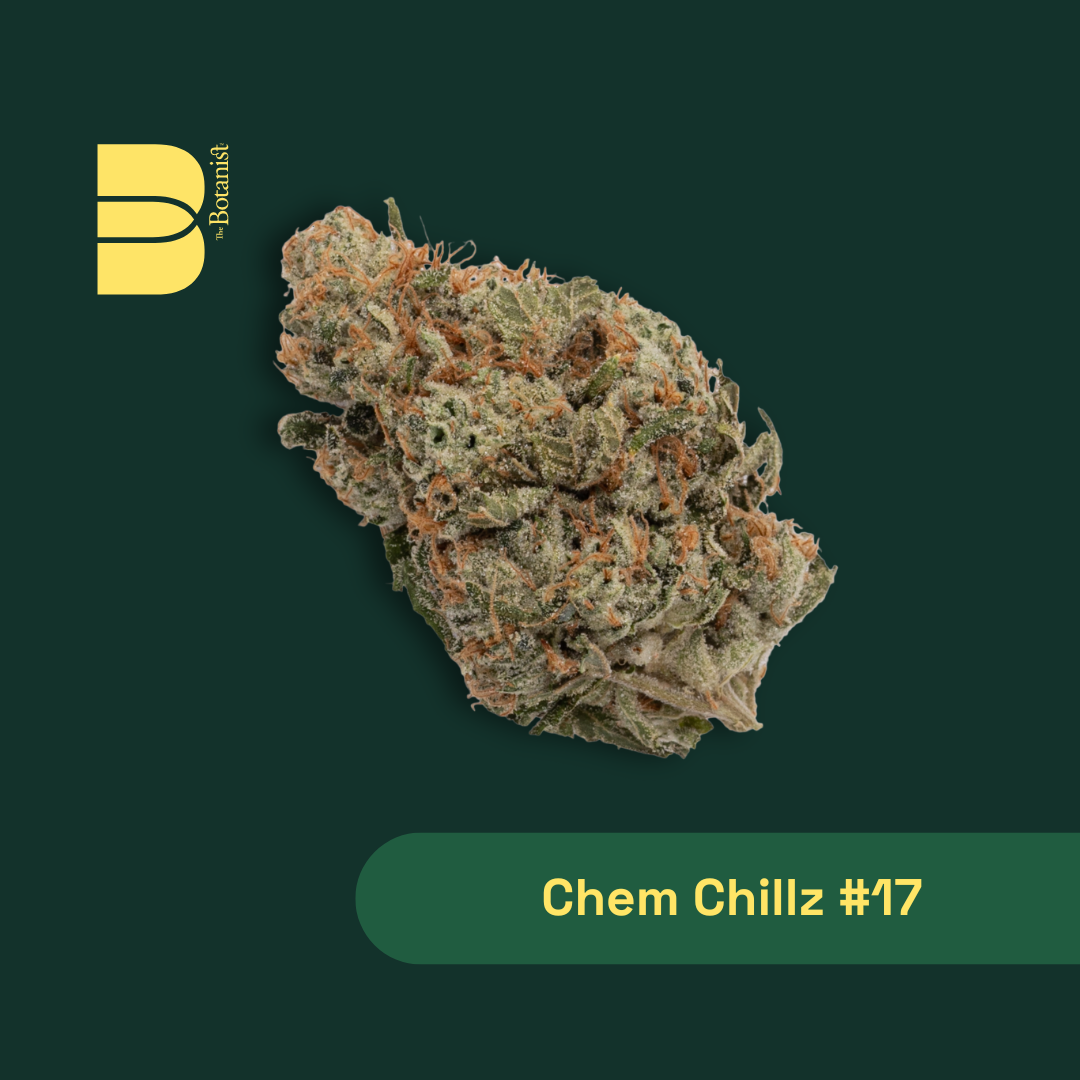 Chem Chillz #17