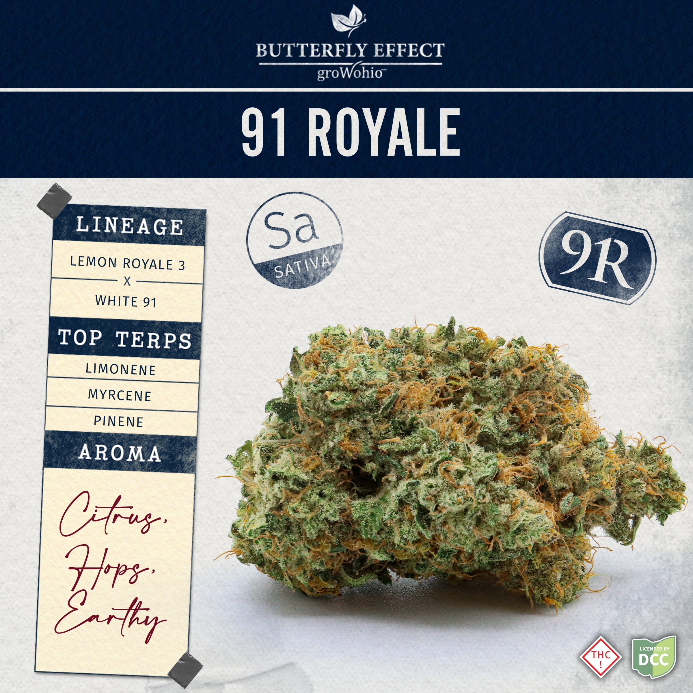BUTTERFLY EFFECT - 91 ROYALE - [2.83G] - SATIVA